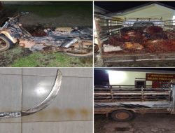 Pencuri Sawit 1 Ton Berakhir di Bui