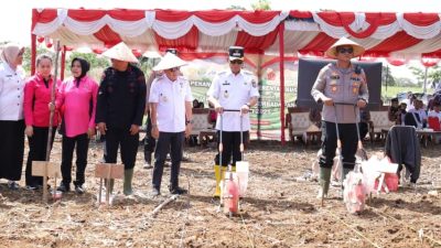 Polres Tapsel tanam jagung serentak