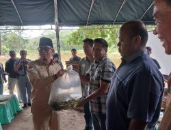 Bupati Teddy Tebar 70 Ribu Bibit Ikan