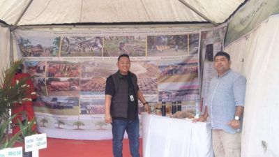 Gula merah umbut sawit.