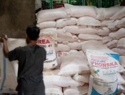 Kios Pupuk OKU Selatan Kangkangi HET