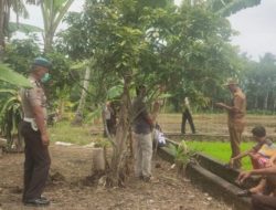 Lansia OKU Selatan Ditemukan Membusuk