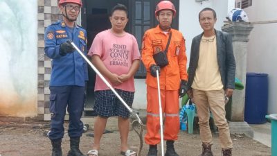 Damkar OKU Evakuasi Kobra