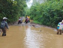 Bupati Teddy Janji 2026 Pembangunan Jalan Desa Sinar Kedaton