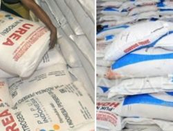 Harga Pupuk Turun, Kios di Oku Selatan Langgar Aturan