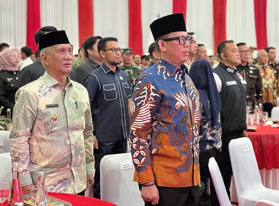 Deklarasi Indonesia Bersinar