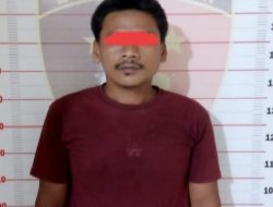 Curi Karet, Petani OKU Dibekuk Polisi