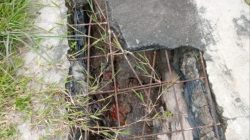 Bau busuk dapur MBG muara dua