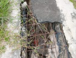 Skandal Limbah Busuk Dapur MBG