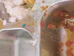 Geger Cacing di MBG Sei Rempah