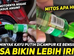 Efek Minyak Kayu Putih pada Irit BBM