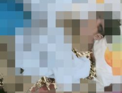 Tragedi Paluta: 4 Bocah Tewas di Kolam