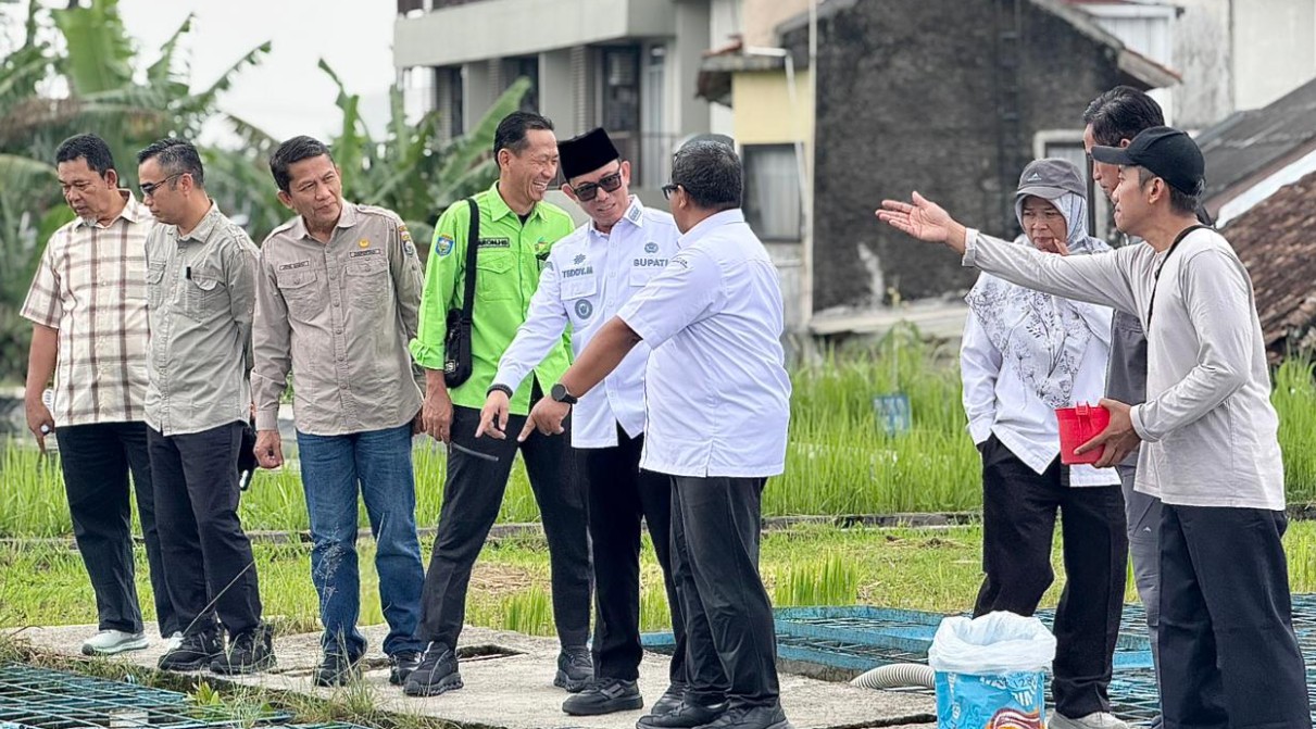 Foto outdoor sekelompok orang, dipimpin oleh Bupati OKU Teddy Meilwansyah yang mengenakan kemeja putih 'BUPATI', sedang meninjau kolam budidaya ikan dengan keramba logam di BBPAT Sukabumi. Seorang staf teknis sedang menunjuk ke kolam.