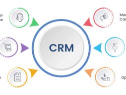 CRM Software Salesforce dapat digunakan oleh berbagai jenis bisnis