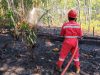 Seorang petugas berseragam merah dengan tulisan HSSE PENDOPO FIELD di punggungnya sedang menyemprotkan air dari selang merah ke tanah hutan yang hangus dan menghitam akibat kebakaran.