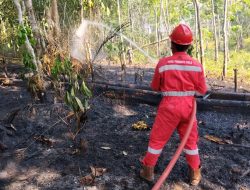 Seorang petugas berseragam merah dengan tulisan HSSE PENDOPO FIELD di punggungnya sedang menyemprotkan air dari selang merah ke tanah hutan yang hangus dan menghitam akibat kebakaran.