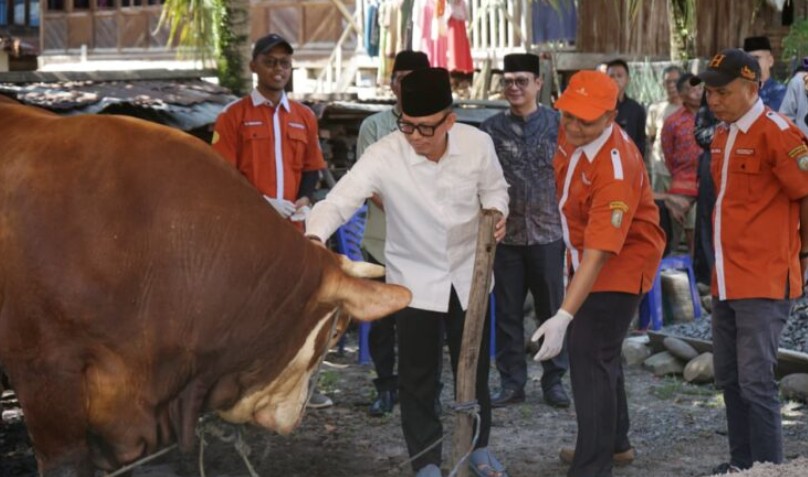 Bupati OKU Teddy Meilwansyah mengenakan peci hitam dan kemeja putih memegang kepala sapi kurban berwarna cokelat.